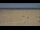 Webcam in Dunkerque, 0 km