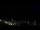 Webcam in Marabá, 615.2 km