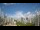 Webcam in Recife, 0.1 mi away