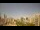 Webcam in Recife, 256.8 km