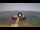 Webcam in Avola, 36 km