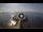 Webcam in Avola, 7.4 km entfernt