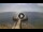 Webcam in Avola, 20.9 km