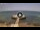 Webcam in Avola, 0.8 km