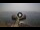 Webcam in Avola, 0.5 mi away