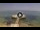Webcam in Avola, 2.9 mi away