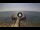 Webcam in Avola, 20.9 km