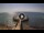 Webcam in Avola, 8.1 mi away