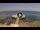 Webcam in Avola, 7.4 km entfernt