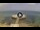 Webcam in Avola, 7.4 km
