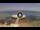 Webcam in Avola, 18.6 mi away