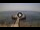 Webcam in Avola, 27 km entfernt
