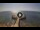 Webcam in Avola, 15.9 mi away