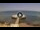 Webcam in Avola, 243.7 km