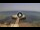 Webcam in Avola, 21 mi away