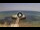 Webcam in Avola, 23.1 mi away