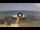 Webcam in Avola, 21 mi away