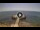 Webcam in Avola, 0.8 km entfernt