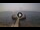 Webcam in Avola, 48.4 km