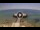 Webcam in Avola, 18.6 mi away