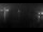 Webcam in Pasito Blanco (Gran Canaria), 1.1 mi away