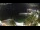 Webcam in Arguineguin, 3.9 km