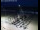 Webcam in De Panne, 0.5 km