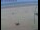 Webcam in De Panne, 14.1 km