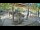 Webcam in Ljubljana, 0.1 km