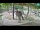 Webcam in Ljubljana, 14 km