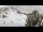 Webcam in Thyon, 5.4 km