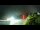 Webcam at the Simplon Pass, 0.1 mi away