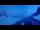 Webcam in Grindelwald, 0.7 mi away