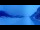 Webcam in Grindelwald, 2.5 mi away