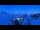 Webcam in Gornergrat, 6.6 km