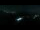 Webcam on the Gornergrat, 2.1 mi away