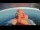 Webcam sur la Siuana Arctica, 508 km