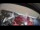 Webcam sur la Tilioq Arctica, 318.5 km