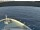 Webcam auf der Norwegian Viva, 6.4 km entfernt