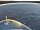 Webcam sur la Norwegian Viva, 645.4 km