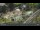 Webcam in Pec pod Sněžkou, 3.2 mi away