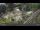 Webcam in Pec pod Sněžkou, 8.4 km entfernt