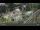 Webcam in Pec pod Sněžkou, 3.3 mi away