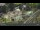 Webcam in Pec pod Sněžkou, 3.2 mi away