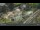 Webcam in Pec pod Sněžkou, 3.2 mi away