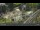 Webcam in Pec pod Sněžkou, 8.3 km entfernt