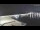 Webcam on the AIDAcosma, 8.6 mi away