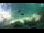 Webcam in Brijuni, 13.8 km entfernt