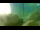 Webcam in Brijuni, 5.3 mi away