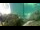 Webcam in Brijuni, 14.6 km